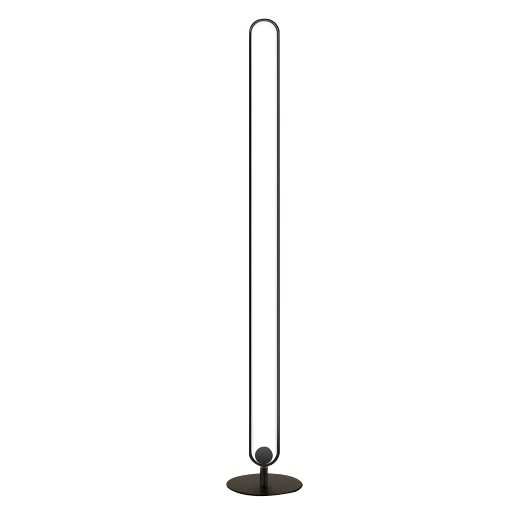 Lunaris | Sleek Modern Black Oval Floor Lamp with LED Lighting 4