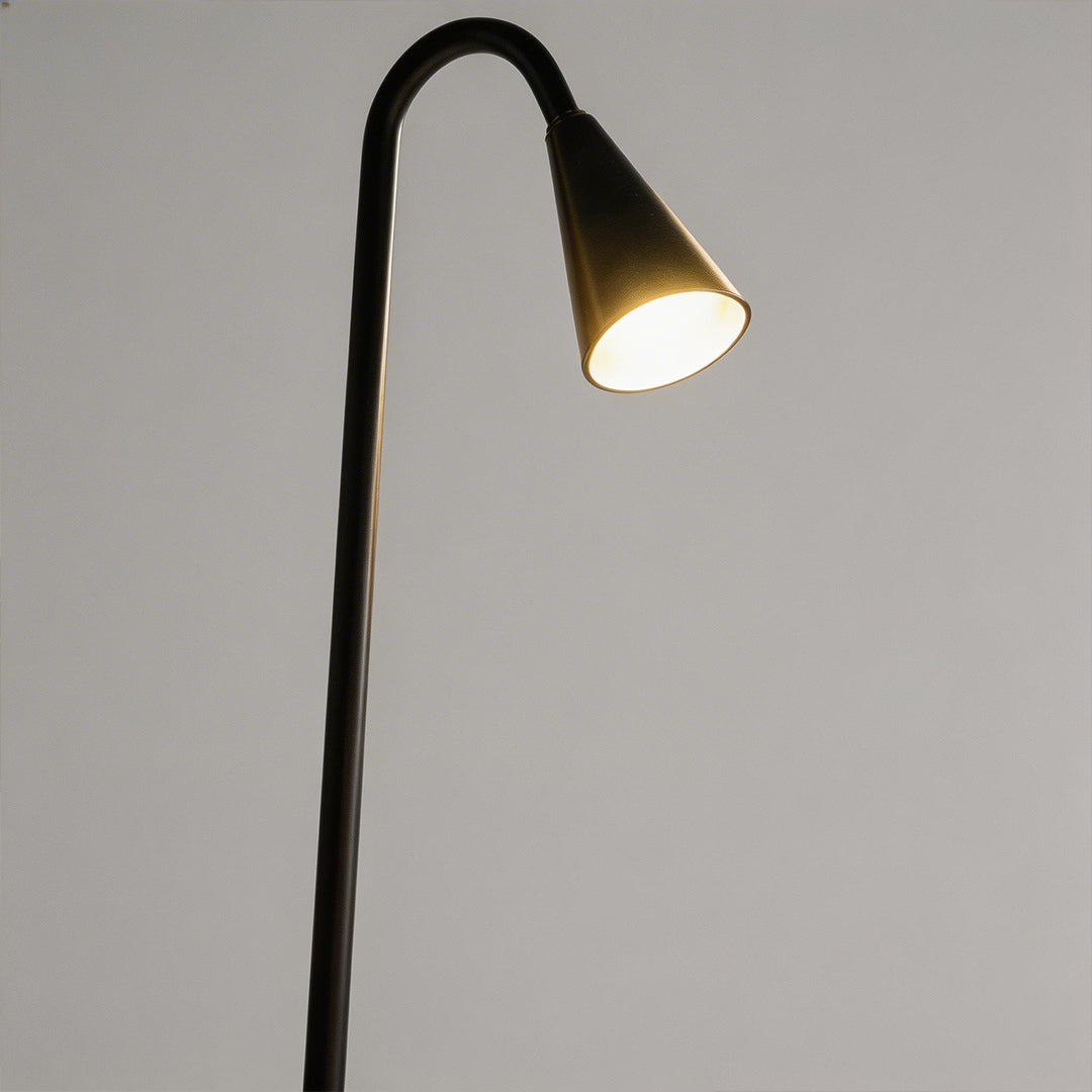 Industrial Multi-Head Floor Lamp | Adjustable Black LED Standing Light