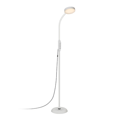 Luminara | Modern Black Iron Standing Floor Lamp with Adjustable LED Light 7