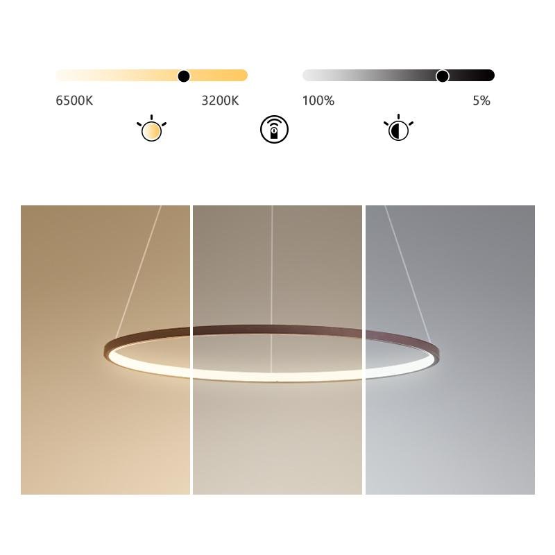 Luminara | Modern Sleek Aluminum Circle Chandelier Light Fixture