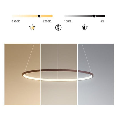 Luminara | Modern Sleek Aluminum Circle Chandelier Light Fixture