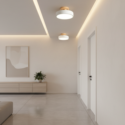 Luminara | Modern Sleek LED Flush Mount Ceiling Light Fixture