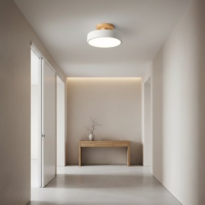 Luminara | Modern Sleek LED Flush Mount Ceiling Light Fixture