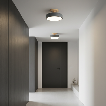 Luminara | Modern Sleek LED Flush Mount Ceiling Light Fixture