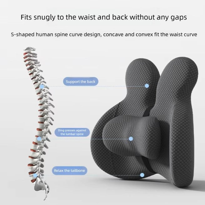 Lumbar Support Memory Foam Seat Cushion