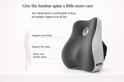Lumbar & Seat Comfort Cushion Set